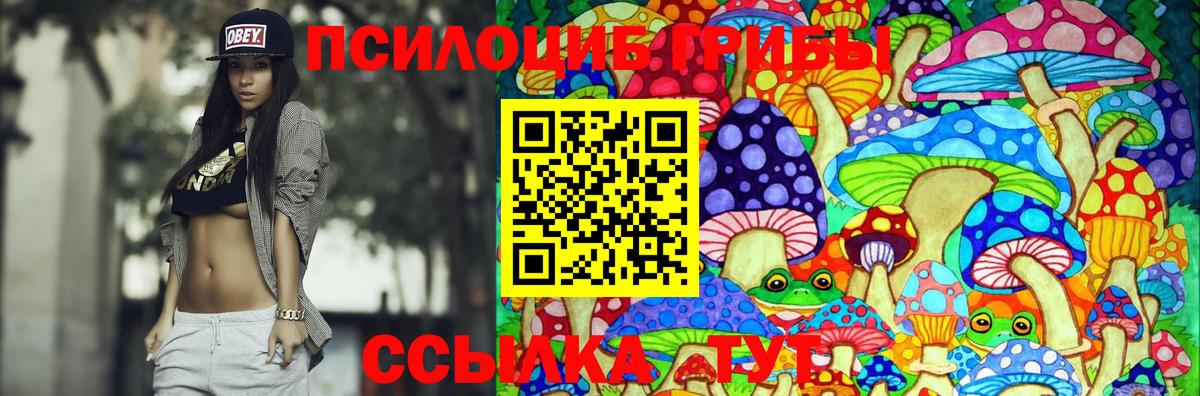 Галлюциногенные грибы прущие грибы Солнечногорск